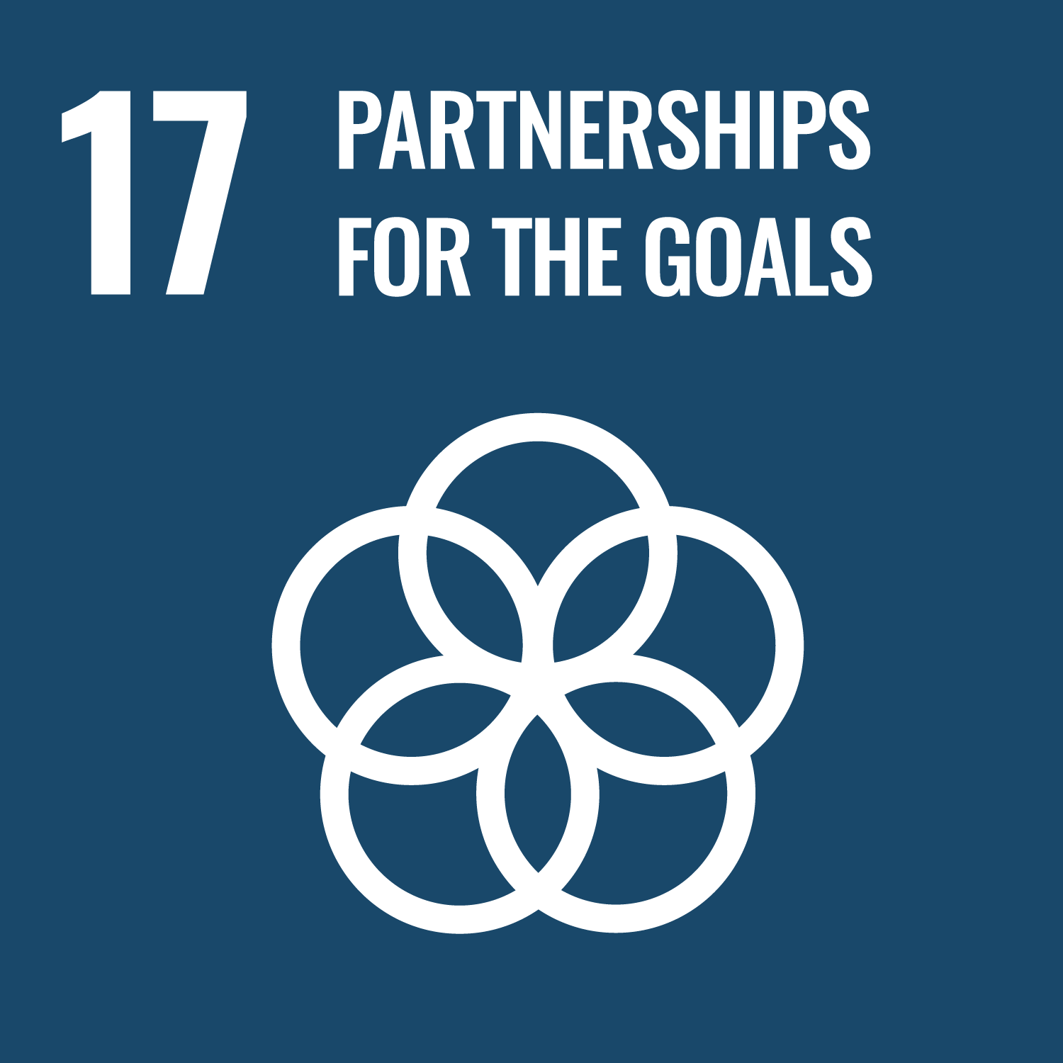 Partnerships for the goals Partnerships for the goals