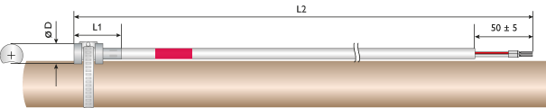 FKP23